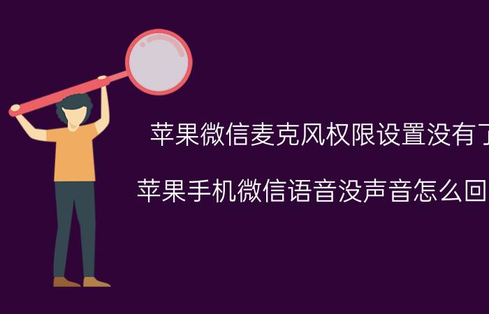 苹果微信麦克风权限设置没有了 苹果手机微信语音没声音怎么回事？